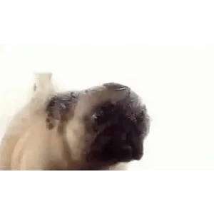 fejM0w