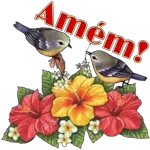 Abracos！