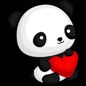 shi02vj