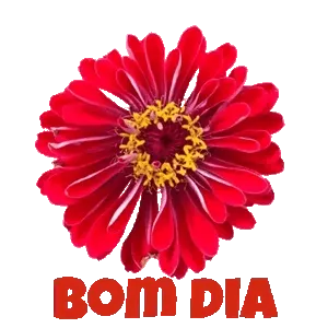 ahYh5N