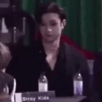 straykids 
