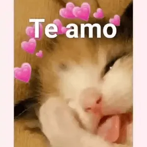 XSDoTi