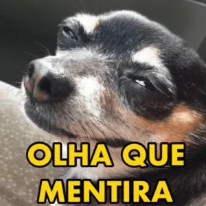 58jgOz