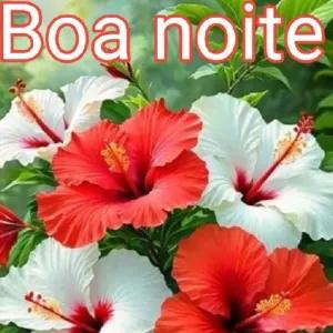 q2MVho