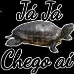 memes 98589+#