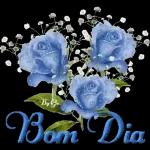 Bom Dia