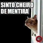 SINTO CHEIRO DE MENTIRA 
