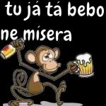 TÔ LIGADO Figurinhas: