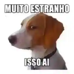 ILaL7p