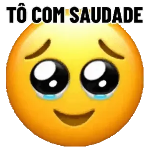 sXHtE6