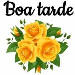 bom dia!