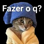 Gatinho