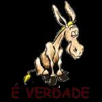 amore 6