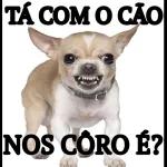 dona