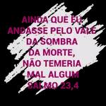 versículo 🙌👑