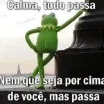 Sapo cururu
