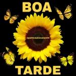Feliz Segunda feira