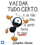 amostradinho