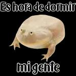 🐸Sapo Feliz Dia 🐸