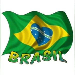 ORDEM E PROGRES BRASIL - getsticker.com