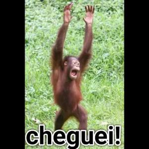 cheguei!  - getsticker.com