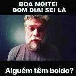 BOA NOITE! BOM DIA! SEI LÁ Alguém têm boldo?