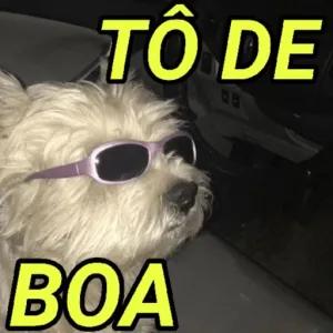 sk8Qzt