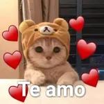11.22Figurinha de amor