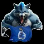 Figurinhas do Cruzeiro