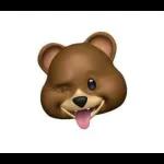 urso