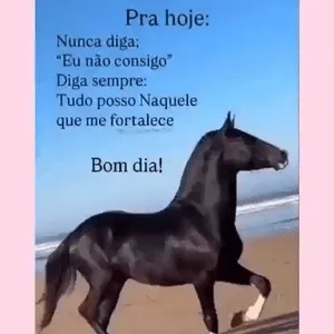 eW0WfW