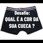 Copa América （br）