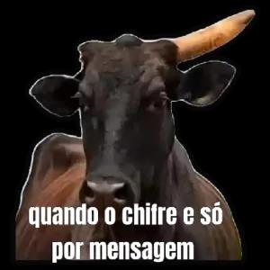 FRngyv