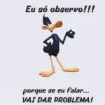 novos
