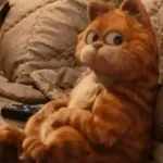 garfield