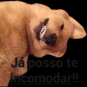 XvZEAk