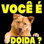 vida