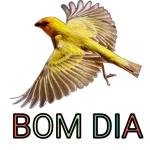  TENHA UM LINDA
SEGUNDA-FEIRA!