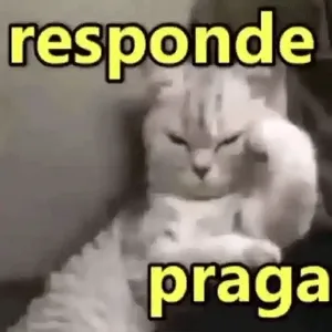 oIE4mu