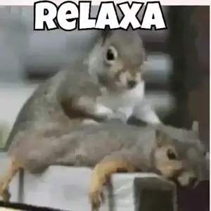 ER2kXG