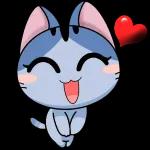bjs amor