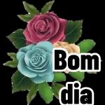 Boa noite!!🌹