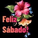 sábado 