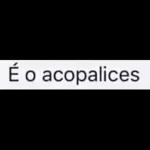 Bom
dia
