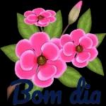 Bom Dia