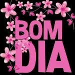 tcxcvv