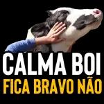 Boi🐮