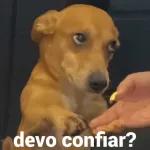 minha 