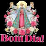 Boa Noite!