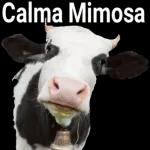 A men Riana Berger